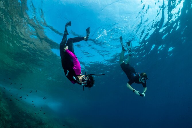 Guided snorkeling in the Portofino Marine Protected Area - An In-Depth Look at the Experience