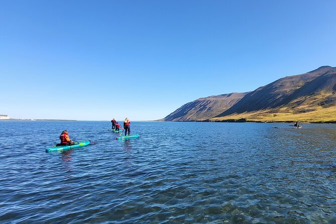 Guided SUP tour in Siglufjörður / Siglufjordur. - Good To Know