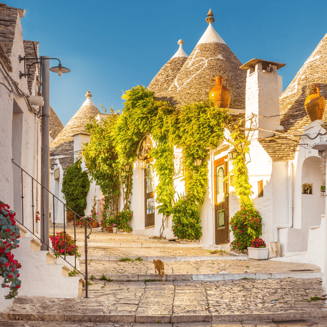 Guided Tour of Alberobello Trulli with Transfer included - Exploring the Details of the Tour