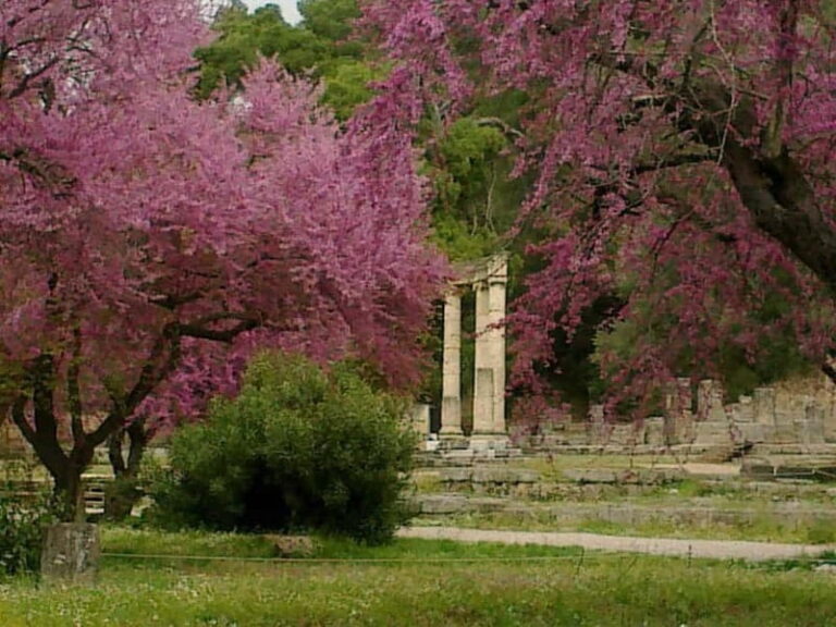 Guided tour of ancient Olympia by an Italian-born guide-archaeologist