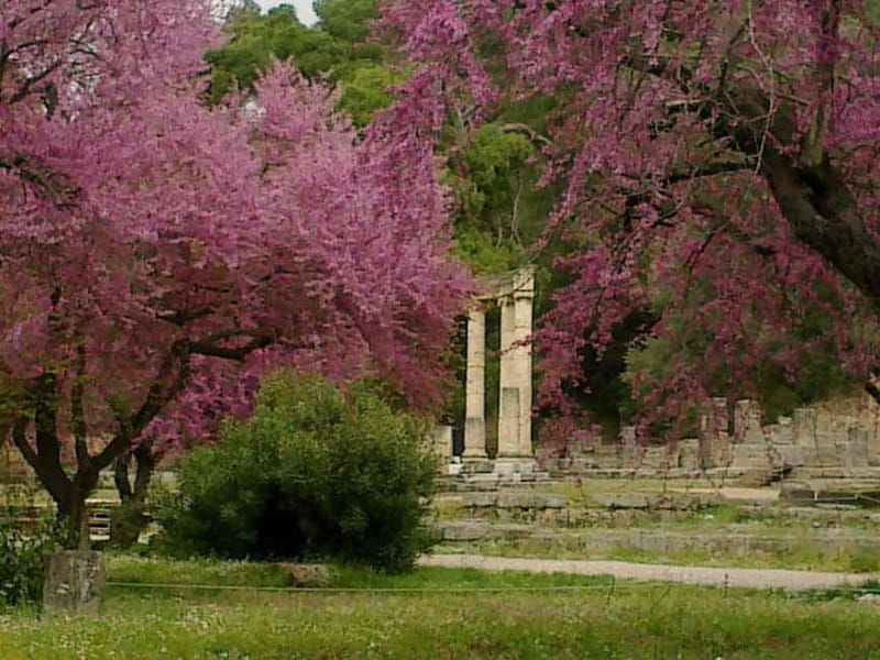 Guided tour of ancient Olympia by an Italian-born guide-archaeologist - Who Should Book This Tour?