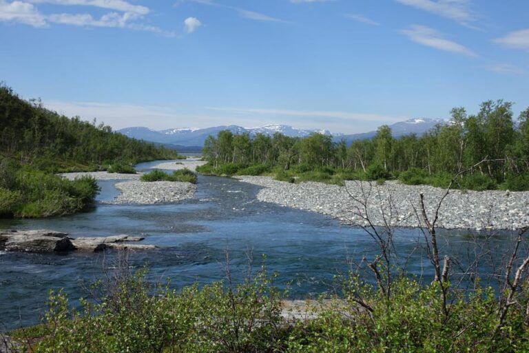 Guided Tour to the Ajtte Mountain and Sámi museum