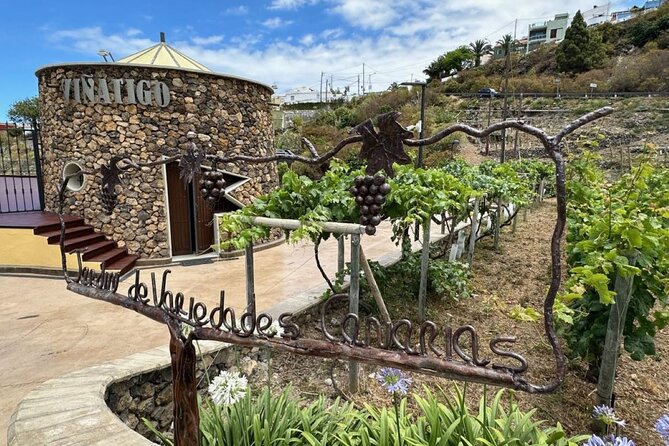 Guided Tour with 6 Wine Tasting - An In-Depth Look at the Bodegas Viñátigo Experience