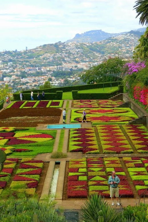 Guided Tuk-Tuk Tour to Botanical Garden (From Funchal)