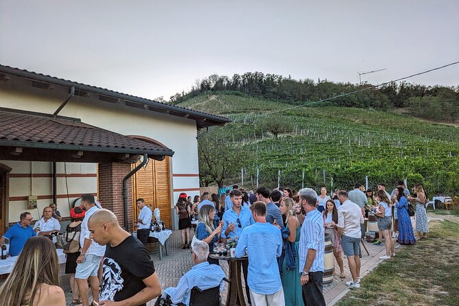 Guided Walk and Lunch in the Vineyard in Alba - Who is This Tour Perfect For?
