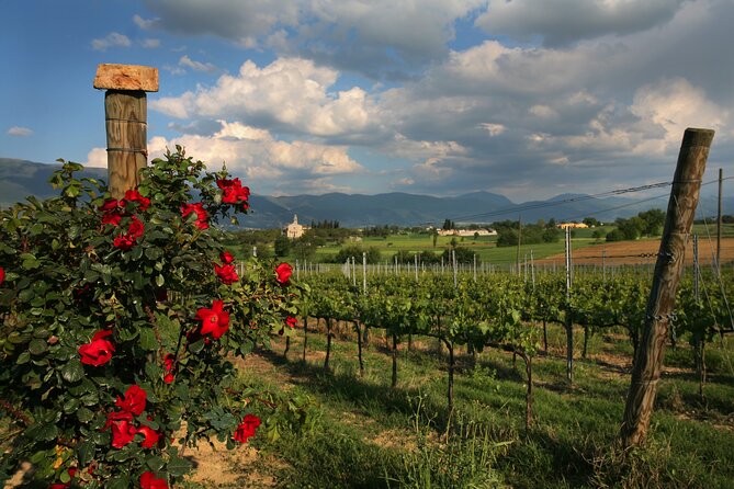 Guided Winery Tour and Private Tasting in Montefalco - Why This Tour Works Well