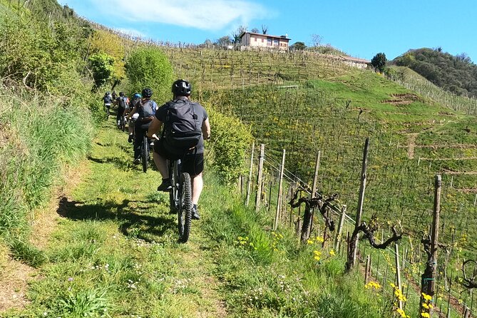 Half-Day E-Bike Tour in Prosecco Hills with Prosecco Tasting - The Itinerary: A Closer Look