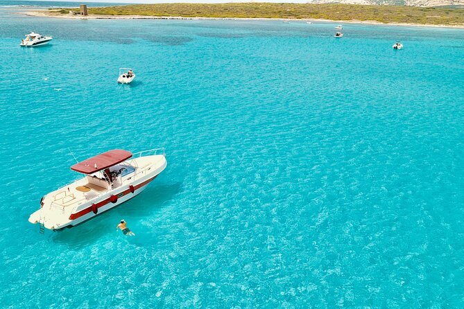 Half Day Excursion to Asinara (3h) - A Deep Dive into the Asinara Half Day Tour