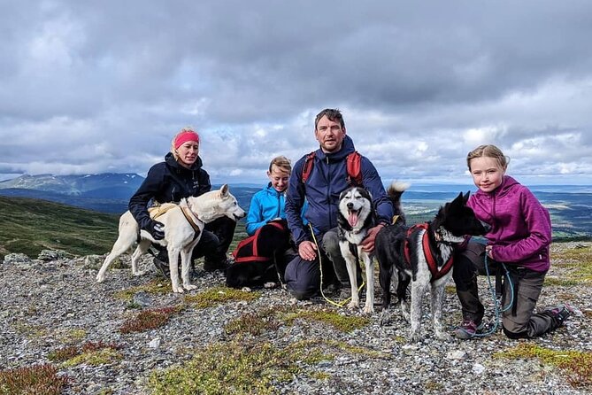 Half Day Guided Walk with Huskies - Good To Know