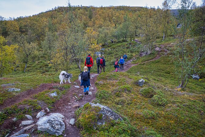 Half Day Hike To Orvvosfossen Waterfall - Meeting Points and Additional Info