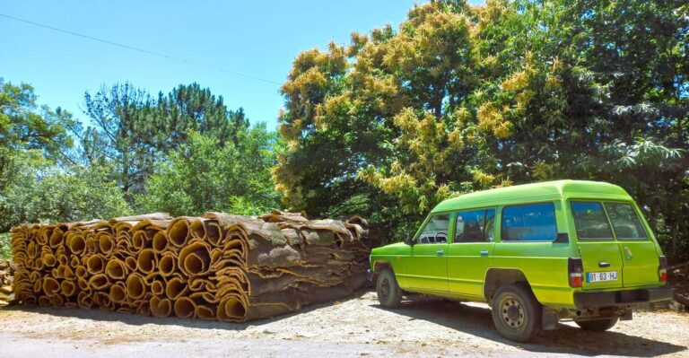 Half-Day Mountain Jeep Safari with firewater tasting