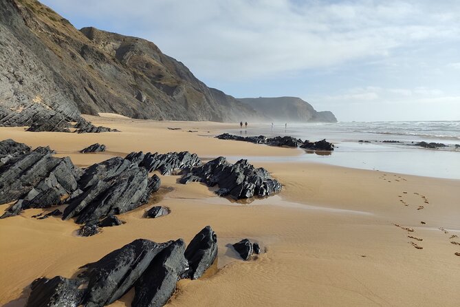 Half Day Nature Walk and Picnic at West Coast Algarve - An In-Depth Look at the Tour Itinerary
