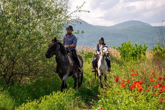 Half-Day of Horseback Adventure with Wine Tasting