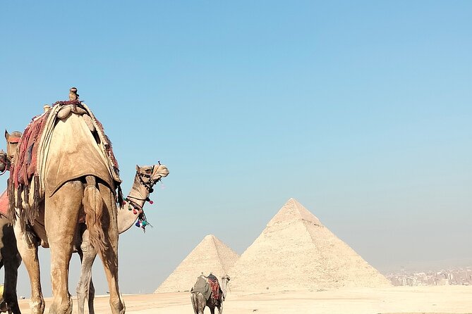 Half day Private Tour Giza pyramids the Sphinx and Camel Ride