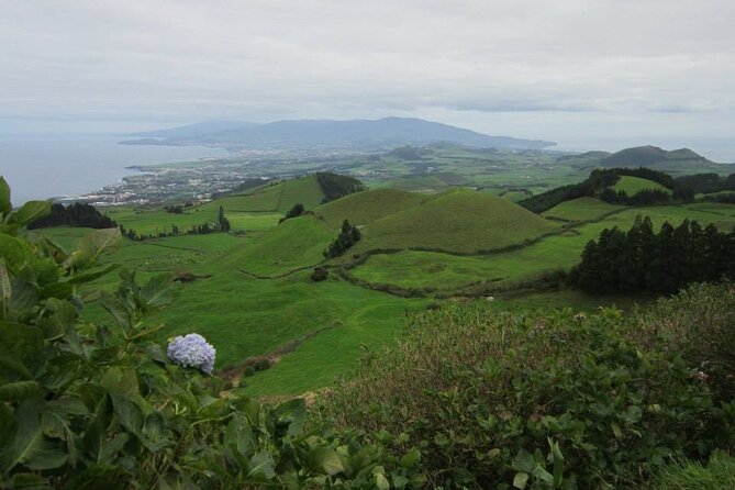 Half Day Private Tour in Sete Cidades - The Sum Up