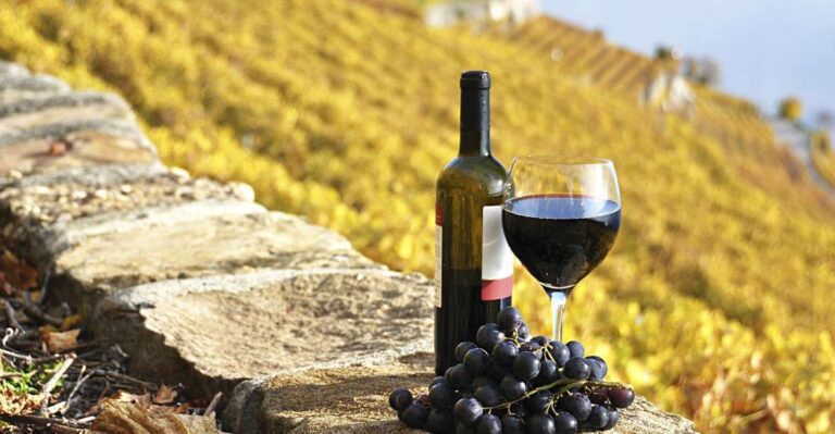 Half-Day Tour from Florence: Chianti Colors & Flavors