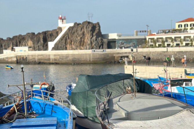 Half Day Tour with Madeira Wine Tasting - Who Is This Tour Best For?