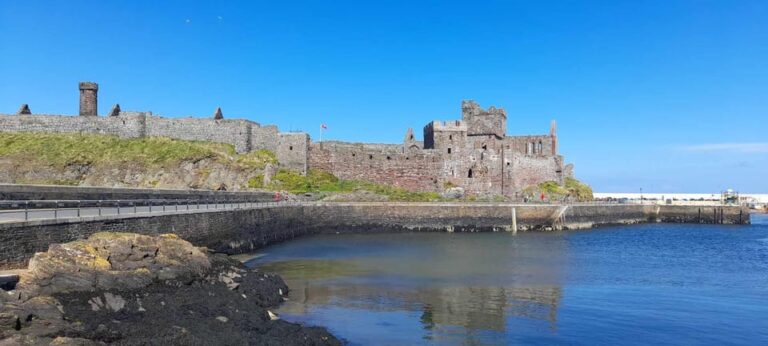 Half Day Viking and Celtic Heritage Tour