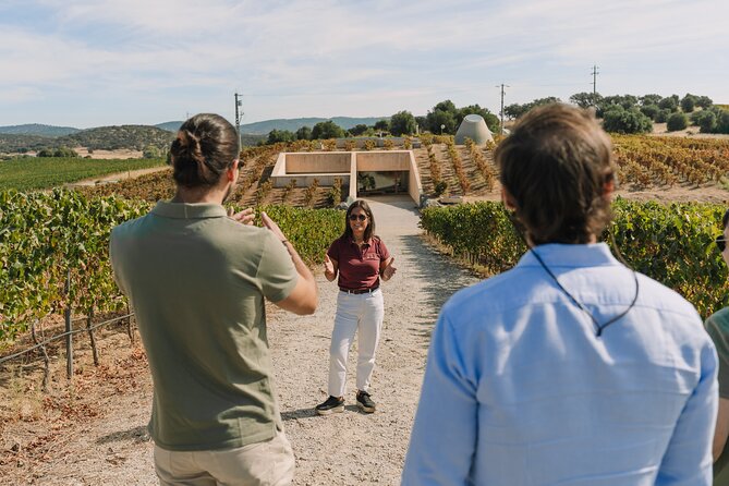 Half Day Wine Tour Around Evora - An In-Depth Look at the Experience