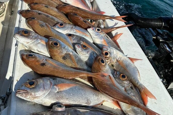 Half-seabed or rod fishing tour with bolentino - Experience Breakdown and What to Expect