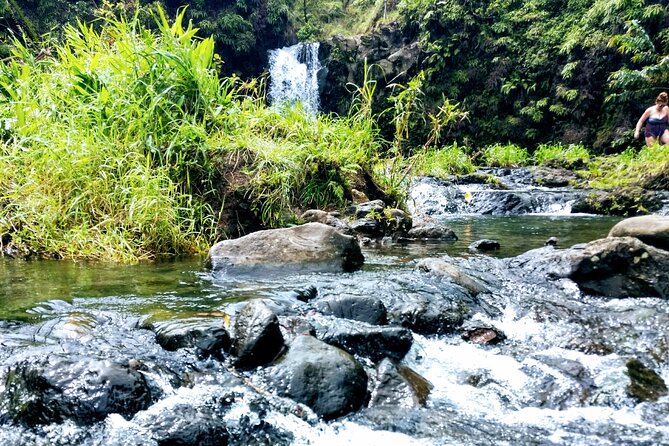 Halfway to Hana Private Tour Maui BlackBeach Waterfalls Turtles