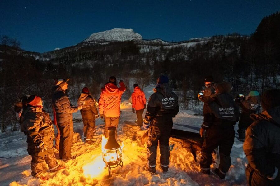 Harstad: Northern Lights Hunt on Hinnøya Island - The Sum Up: Who Is This Tour Best For?