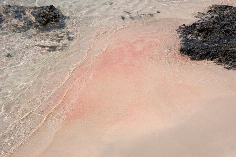 Heraklion: Elafonisi Beach: Discover the Pink Sand Paradise