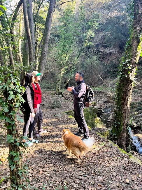 Hike with Lunch & Wine in da Vincis Land in Tuscany