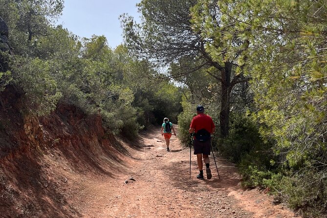 Hiking guide tours in Ibiza - Explore stunning views with us! IHL - An In-Depth Look at the Tour Experience