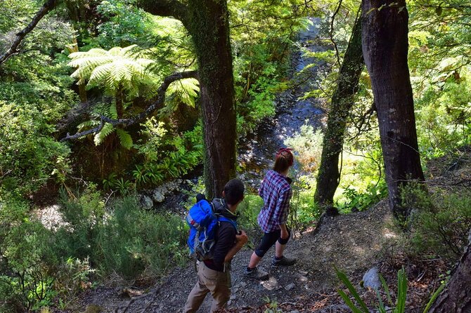Hiking in the Forest & Stunning Italian Ghost Town of Rhodes! - What to Expect from This Rhodes Hiking Tour  
