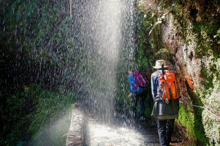 Hiking Madeira: Levada do Rei and the Majestic Laurissilva