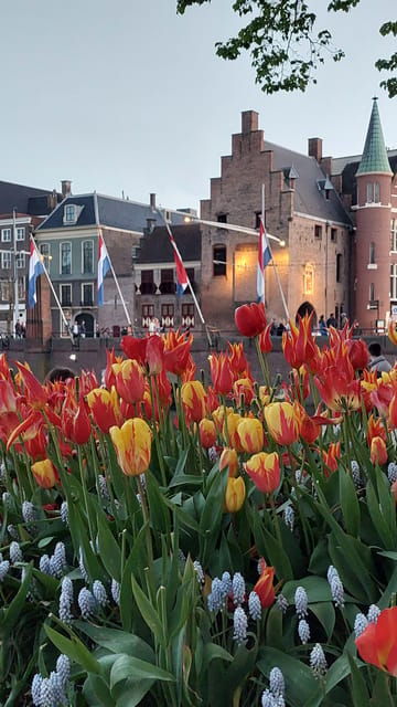 Historical Tour of The Hague