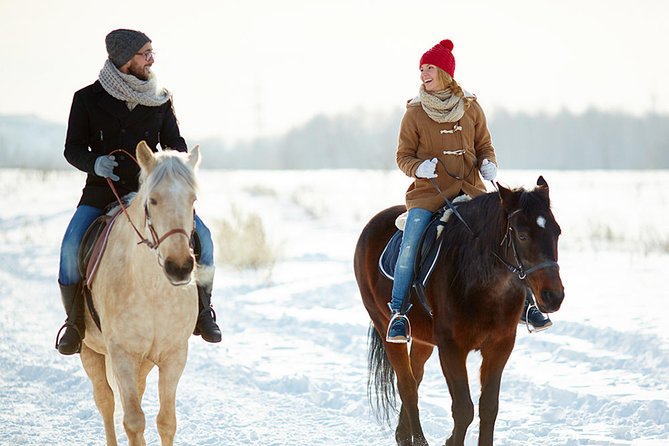 Horse Riding in Bled