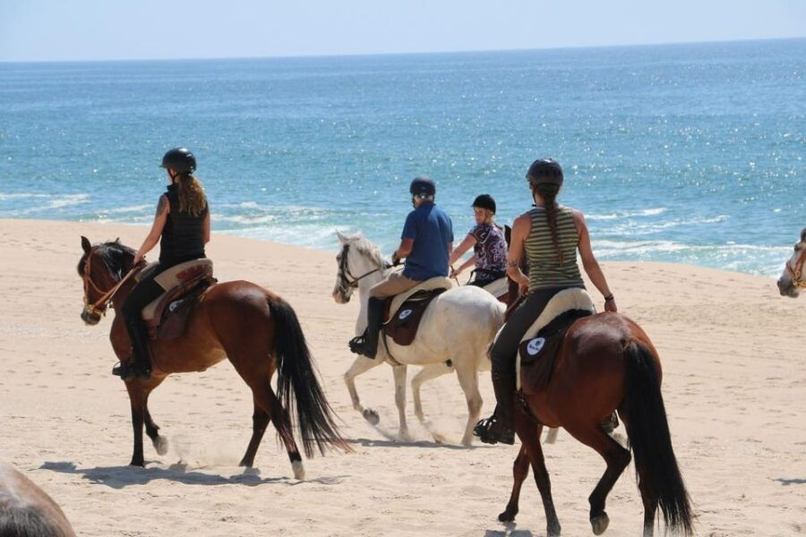 Horse riding in the Valley, near Lisbon - A Detailed Breakdown of the Itinerary
