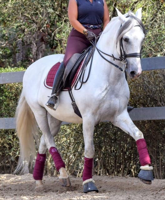 Horse Riding Lesson & Lunch & Regional Wine Tasting