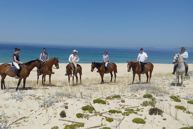 Horse Riding on the Beach Tour - An Overview of the Experience