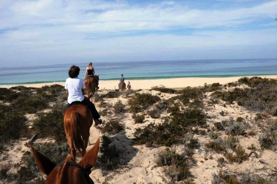 Horse riding on the beach, with private transfer from Lisbon - Good To Know  