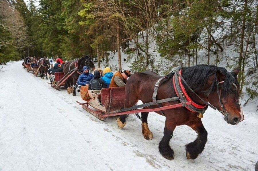 Horse Sleigh 2-3h Ride with Hot Springs or Zakopane Combos - Why This Tour Stands Out
