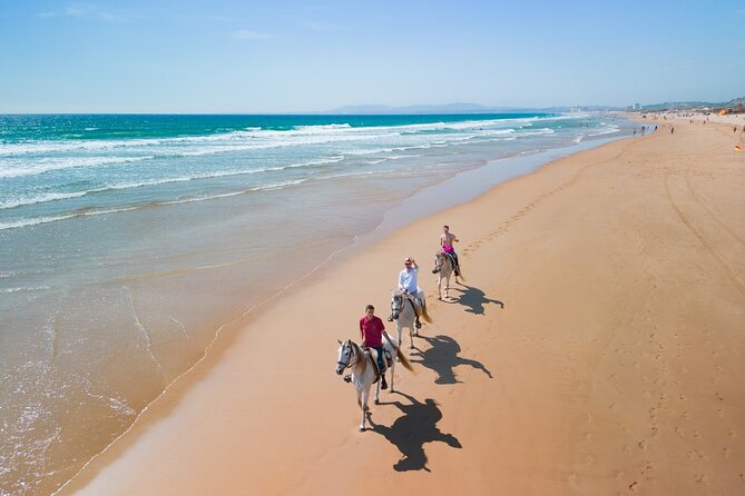 Horseback Riding, 4 Options-Mountain, Lesson Ring, Beach (2Hours) - Exploring the Experience in Detail  