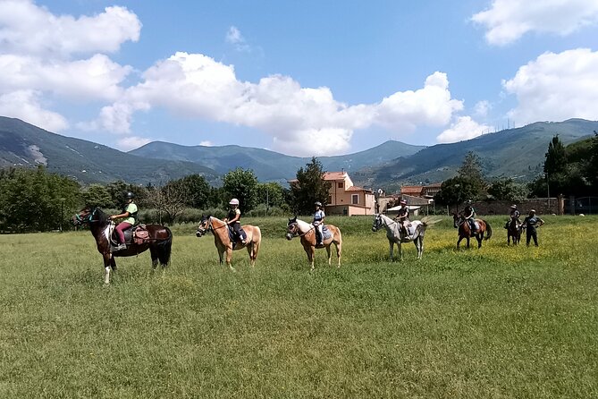 Horseback riding and aperitif 2 hours for beginners - What to Expect from the Horseback Riding & Aperitif Tour