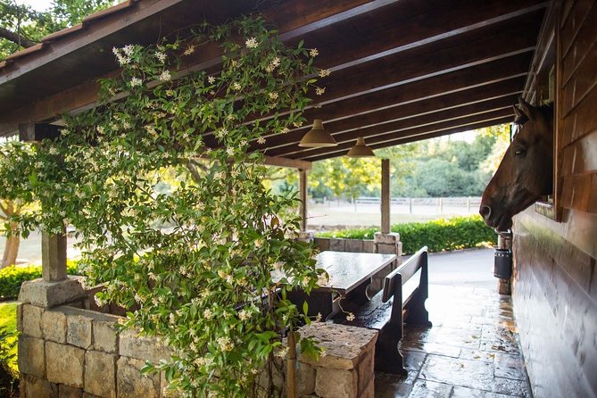 Horseback Riding in Konavle Region with Transport from Dubrovnik