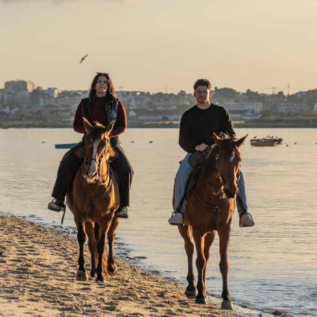 Horseback Riding On The Beach At Sunset - What to Expect from the Horseback Riding Experience