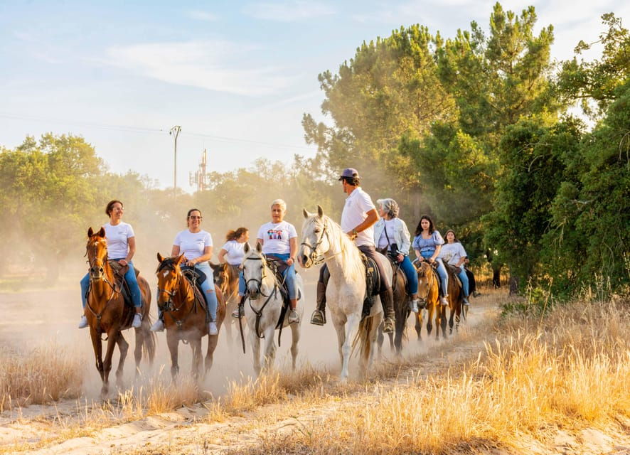 Horseback Riding On The Beach + Tapas + Photo Report - PDT - An In-Depth Look at the Experience
