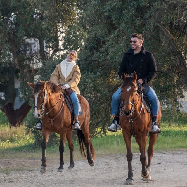 Horseback Riding Trough The Beach GROUP – PDT