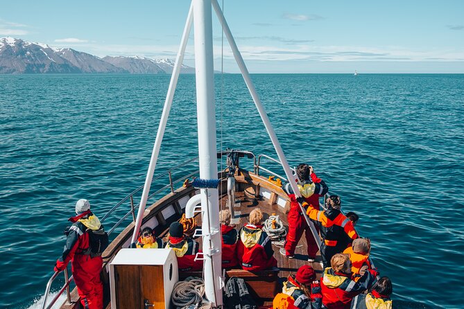 Húsavík Whale Watching Tour, family owned and operated - What makes this whale watching tour stand out?