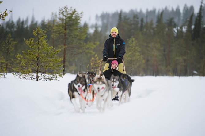 Husky Sledding Self-driving in Rovaniemi - Starting Point and Transportation Logistics
