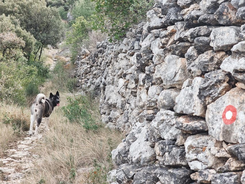 Hvar: Guided Hiking Tour in the Countryside - The Experience: A Deep Dive into the Hvar Countryside