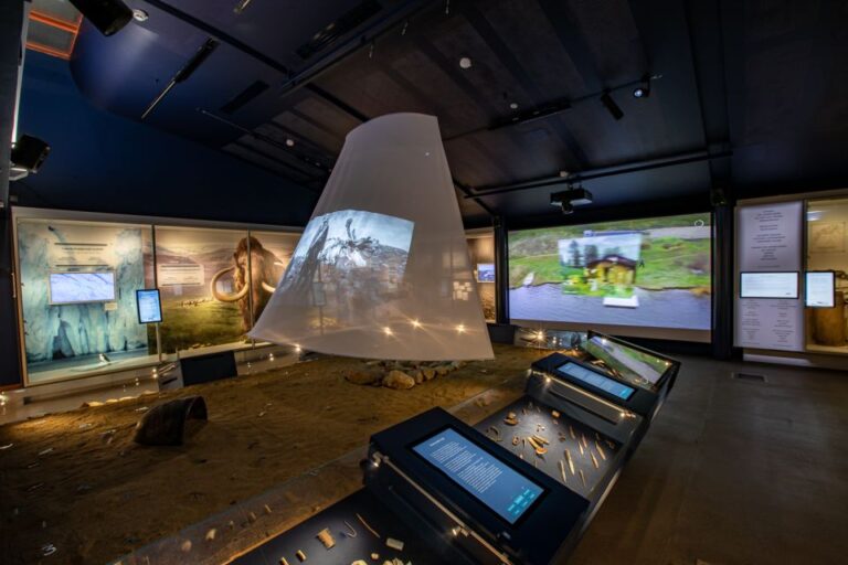 Inari: Siida – Sámi Museum and Nature Centre Ticket