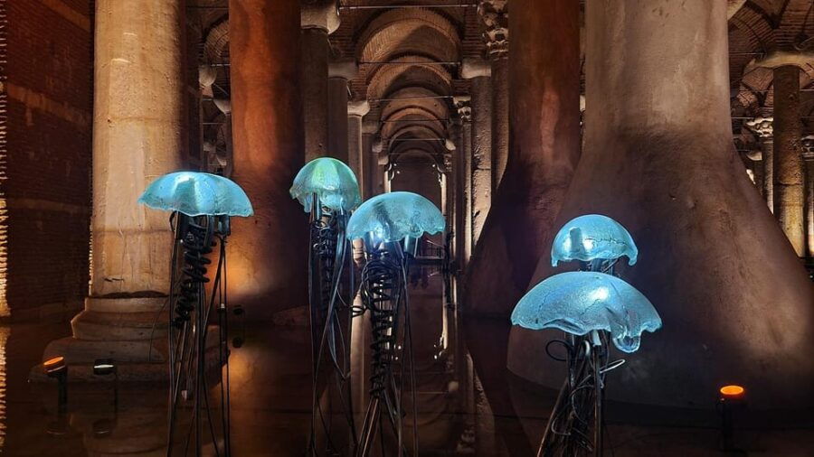 Istanbul: Basilica Cistern Skip-the-Line Entry Ticket - What to Expect from Your Visit