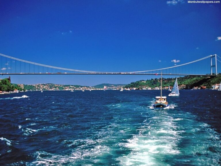 Istanbul: Bosphorus and Golden Horn Boat Tour